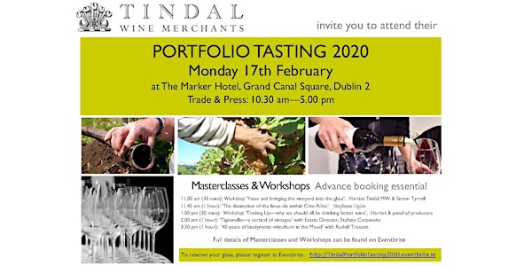 Tindal Wine Merchants Portfolio Tasting 2020