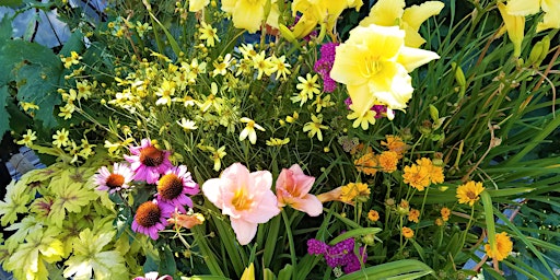 Golden Co Lifestyle Events Eventbrite