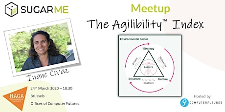 Imagen principal de Meetup: The Agilibility Index - POSTPONED