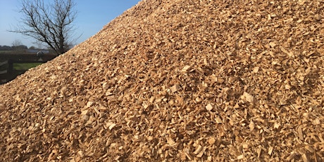 Biomass Supply Chains primary image