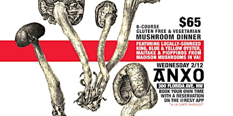 6- Course Madison Mushrooms Gluten Free & Vegetarian Mushroom Dinner primary image