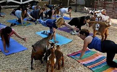 Baby Goat Yoga Pajama Party by Lavenderwood Yoga at Eden Gardens