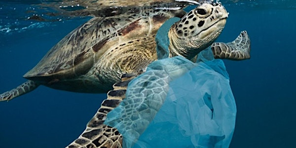 Ceremony World aquariums  against plastic pollution