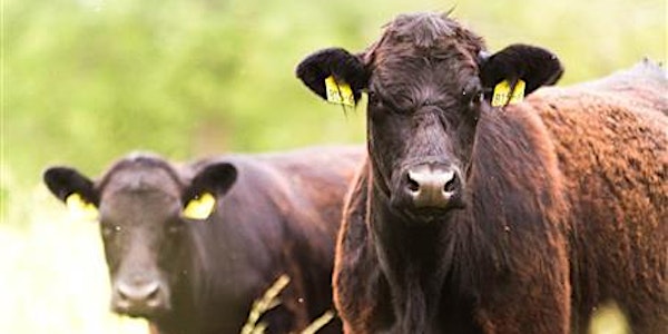 Indiana Certified Livestock Producer Training - Benton County