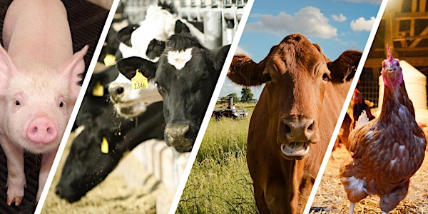 Indiana Certified Livestock Producer Training - Johnson County