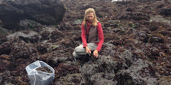 Seaweed: Ecology, Use and Harvest Presentation with Heidi Herrmann 5-20-20