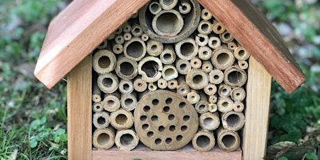Build a Native bee hotel with Latrobe valley beekeepers association. primary image