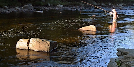 Fly Fishing School: Catskill Mountains Trout Unlimited 2020 primary image