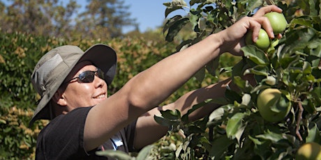 Lamorinda Area Community Harvest   primary image