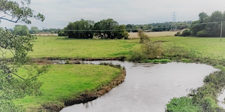 The Wensum’s waterways and wetlands with Carl Chapman