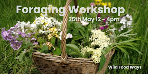 Imagen principal de Foraging Workshop