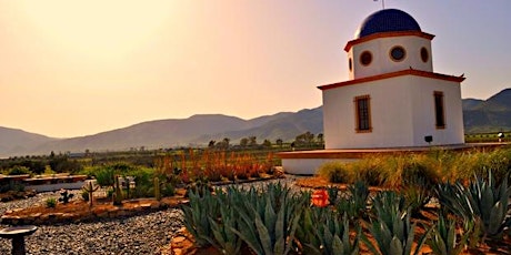 House of Mexico Baja Wine Tour   primärbild