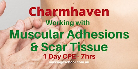 Working with Muscular Adhesions & Scar Tissue - CPE Event (7hrs) primary image