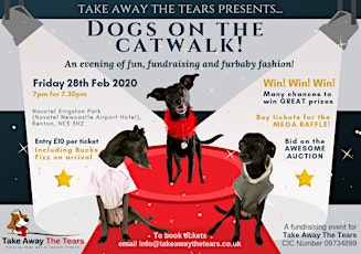 Take Away The Tears presents 'Dogs on the Catwalk' - an evening of fun, fundraising and furbaby fashion.  primary image