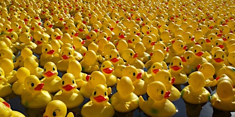 NORTH PORT DUCK RACE primary image