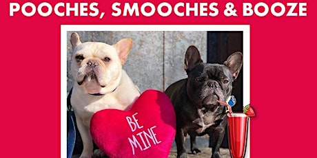 BarkHappy Phoenix: Pooches, Smooches & Booze Benefiting Arizona Small Dogs!