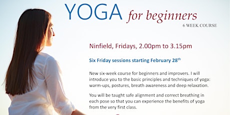 Beginners Yoga Course - 6 sessions primary image