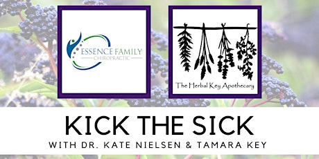 Kick the Sick & Elderberry Syrup Make N' Take primary image