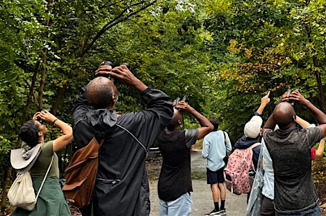 Fall Migration Bird-Watching Walk
