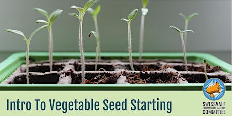 Intro to Vegetable Seed Starting primary image