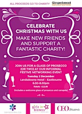 SUSSEX Women in Business - Charity Christmas Networking Event primary image