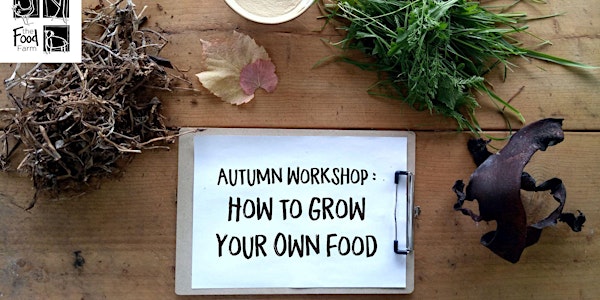Grow Your Own Food; Saturday Autumn Workshop