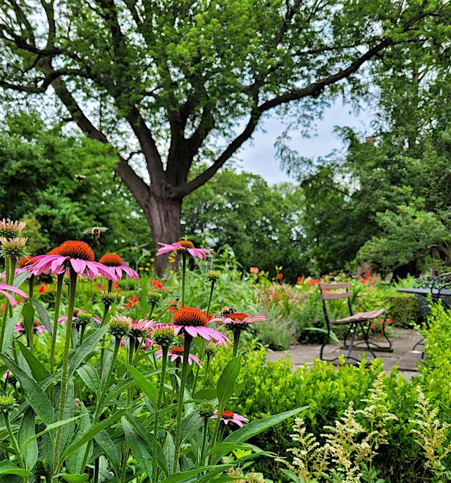 Image principale de Ten Broeck Mansion Gardening & Community Days 2026