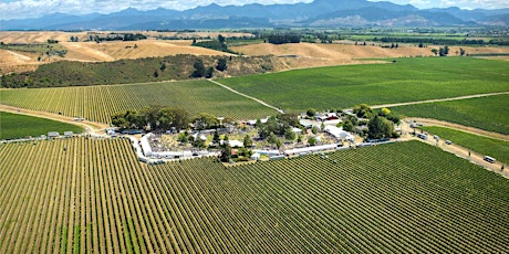 Marlborough Wine and Food Festival 2021 primary image