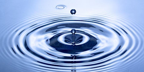 HR Ripple Effect - 1 Day  Online Training Course primary image