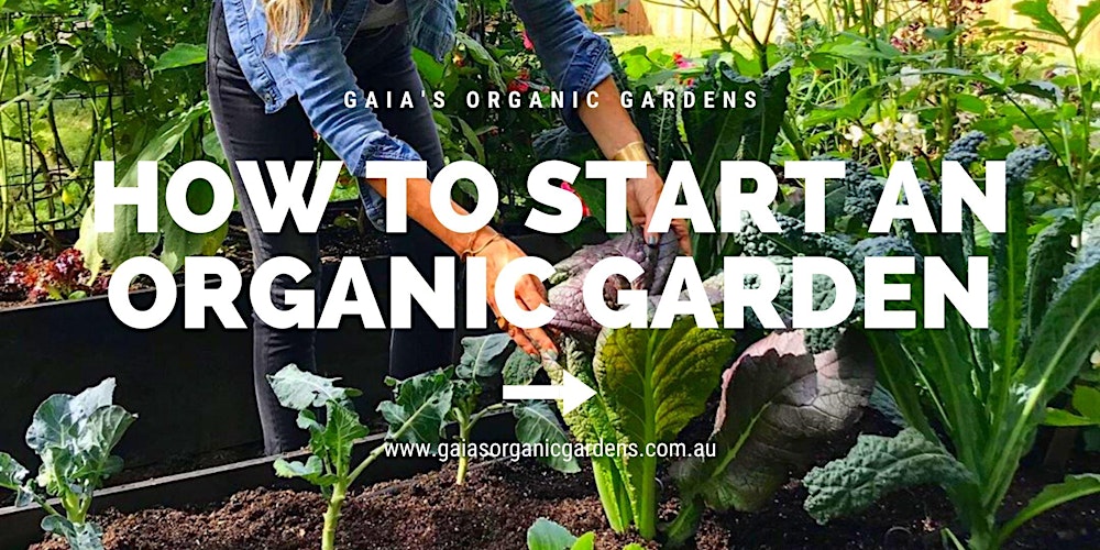 How To Start An Organic Garden Tickets Sun 31 05 2020 At 10 00 Am