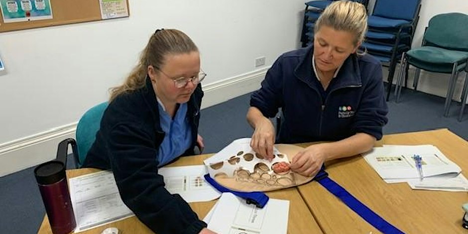 Stoma Care for Nurses and HCAs