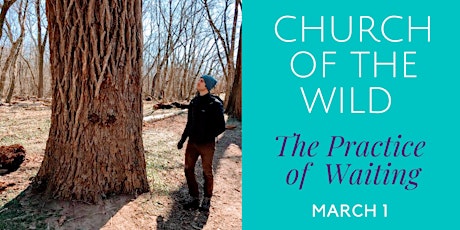 Church of the Wild - The Practice of Waiting primary image