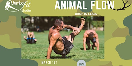 Animal Flow Drop In Class primary image
