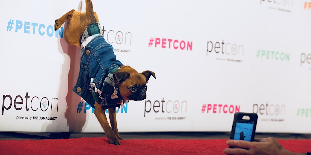 Petcon Chicago 2021 Tickets Sat Sep 18 2021 At 10 00 Am Eventbrite Free Adoption Day Chicago 2022