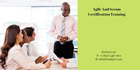 Agile & Scrum Certification Training in Nanaimo, BC tickets