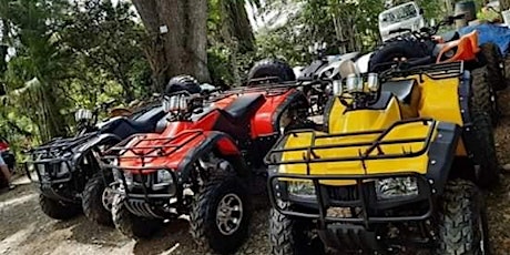 ATV Rides at Concordia Estate Nature Park - Tobago, T&T