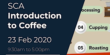 SCA Certified Introduction to Coffee Course Training