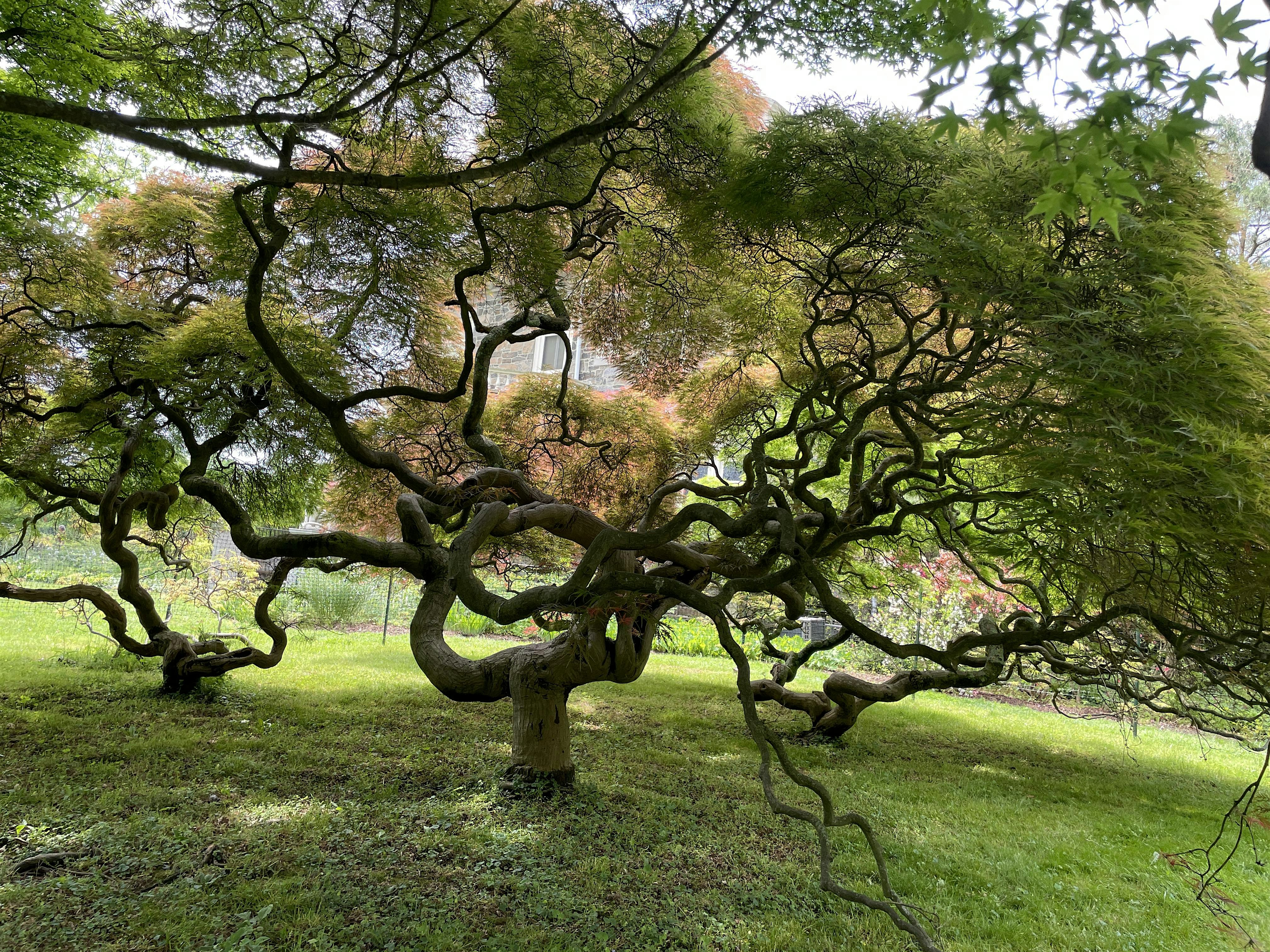 Encountering Nature Indoors: An Immersive Creative Drop-In