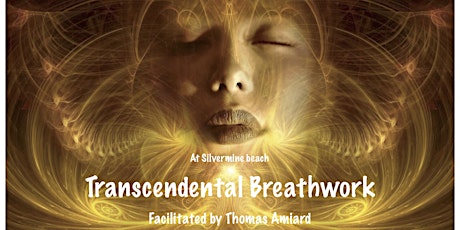 Transcendental Breathwork facilitated by Thomas Amiard & Monica primary image