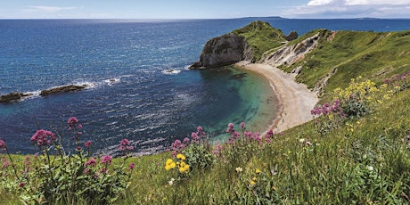 Visit Dorset - Helping your tourism business to thrive primary image
