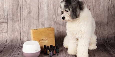 doTERRA Pop Up Shop - Vendor Buffalo County Humane  Assoc. Fundraiser primary image