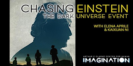 Chasing Einstein: The Dark Universe Event