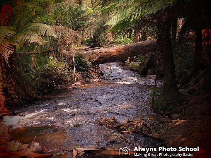 Photography Course 17-Rivers/Redwoods & Rain-Forests image