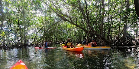 VOA Kayaking in the Keys 1 March 2020 primary image