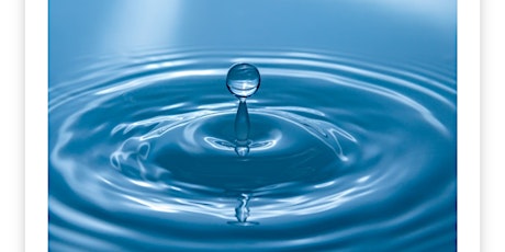 Hauptbild für Wasser-die Grundlage unseres Lebens