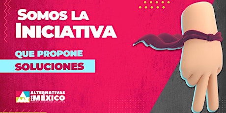 Imagen principal de Alternativas por México