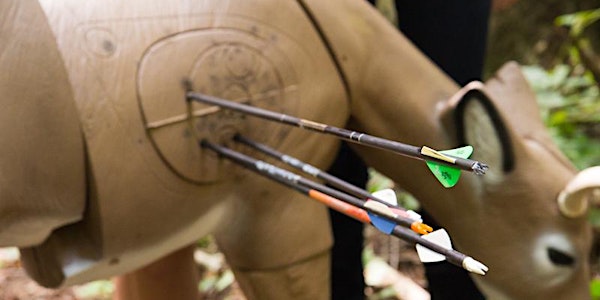 3D Hunt-Style Archery Shoot