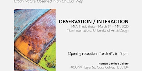 Observation / Interaction Maria Iglesias primary image