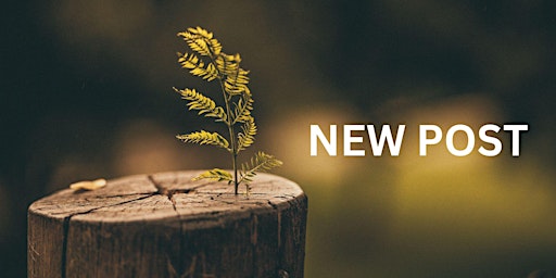 Image principale de New Post Consultation March 2025