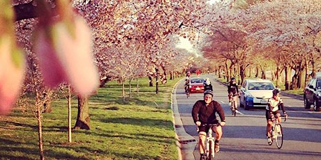 Bike The Blossoms 2020 - National Cherry Blossom Festival Greenscape Corridor Bike Ride primary image